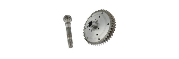 Rear Axle Gearbox