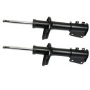 Shock absorber set of 2 pieces front EVOLUZIONE