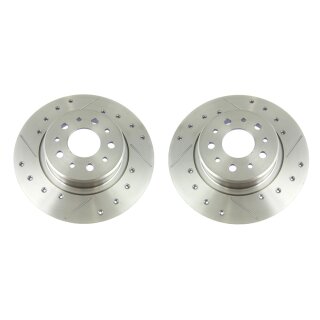 Bremsscheiben Sport hinten EVO