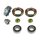 Radlager Satz Vorderachse  Fulvia 2. Serie / Fulvia 3