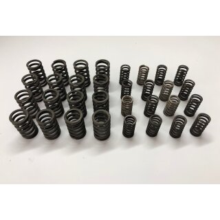 Valve spring Set 037