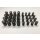 Valve spring Set 037