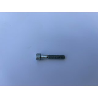 Screw Speedline rim Rally 037