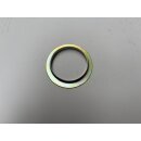 Dust Guard front wheel bearing Beta